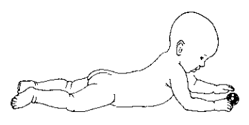 Weight Bearing on Hands